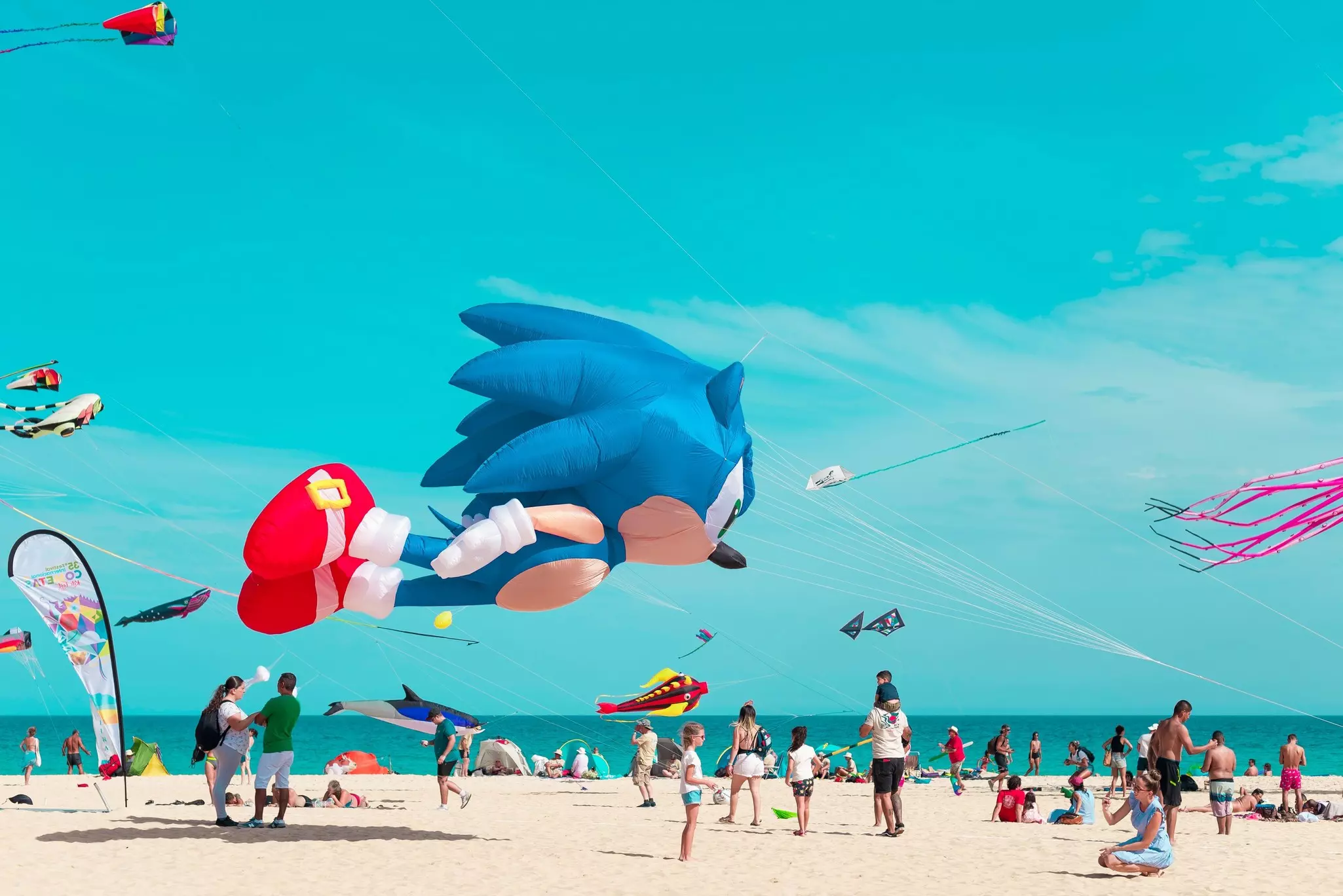 An array of kites of various sizes and shapes fly on a beach.