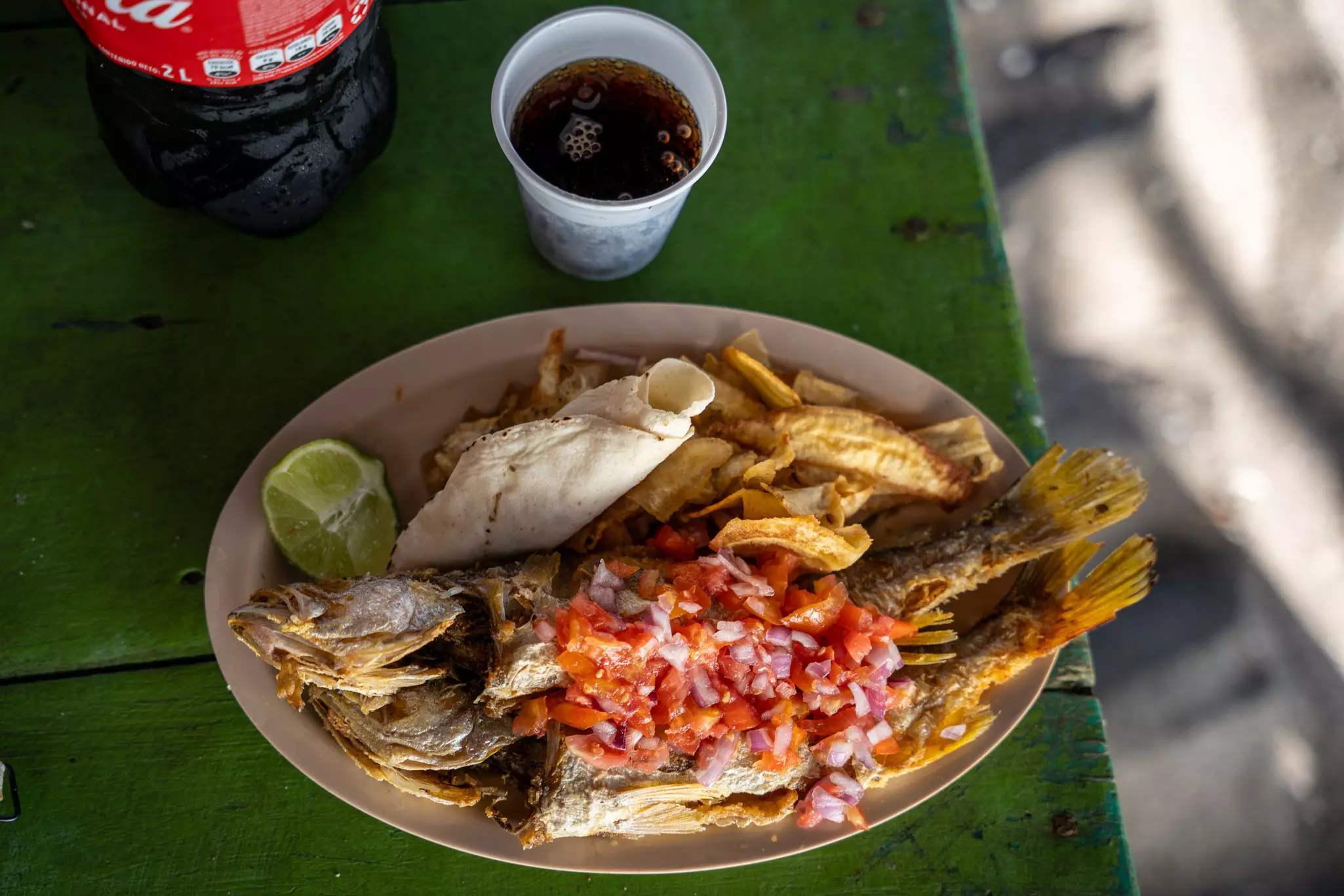Plate of fried fish covered with salsa on a green table with a bottle and cup of Coke.