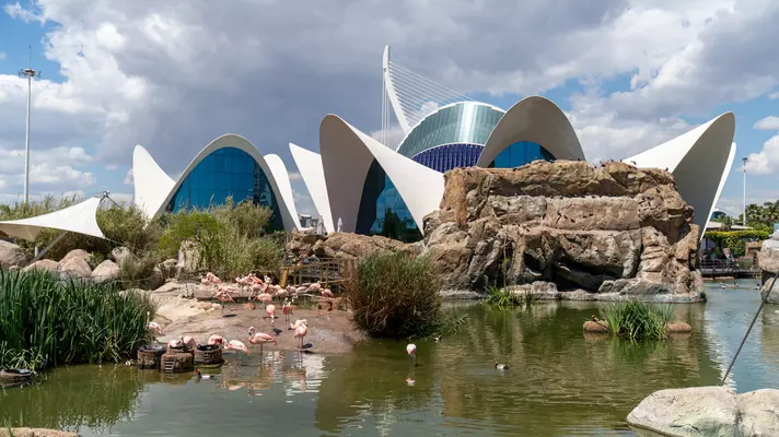 Both promote conservation and education.