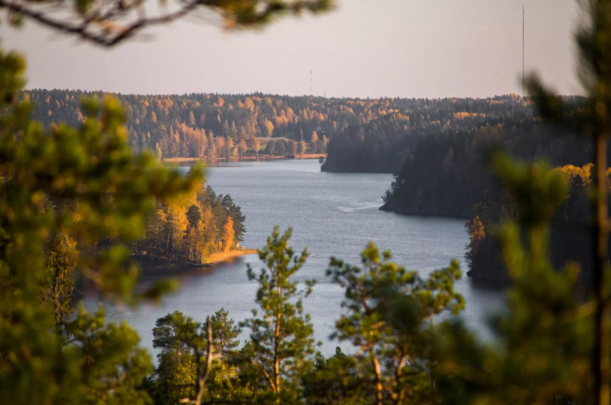 A lake in the middle of dense forest in Finland in autumn.