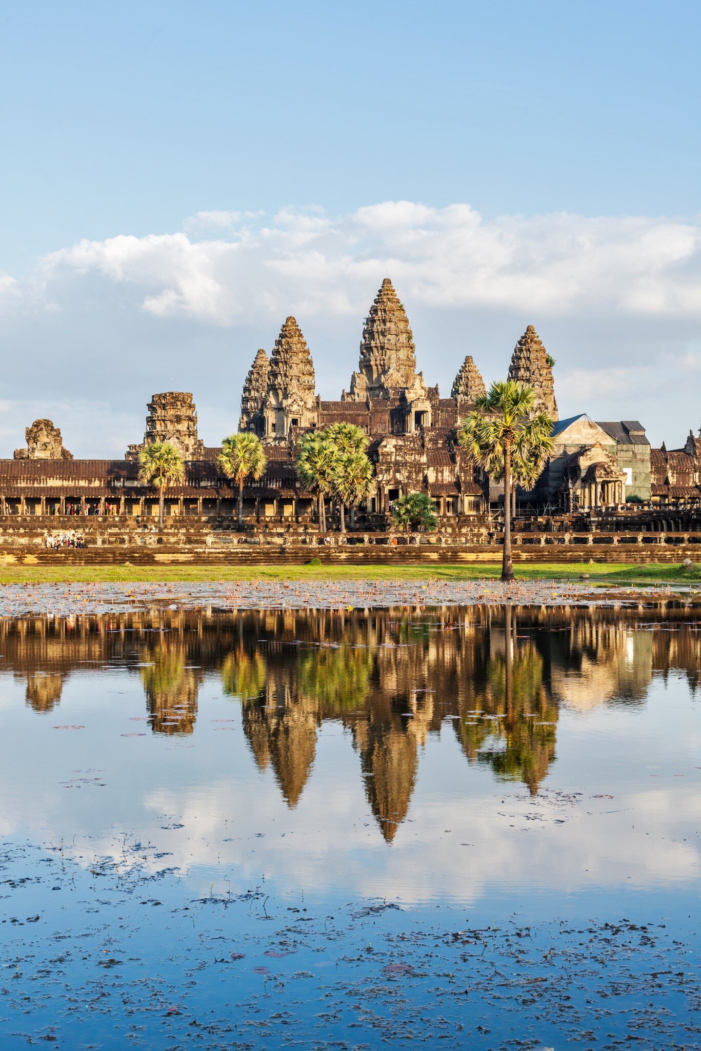 Taken in Angkor Wat in Cambodia.