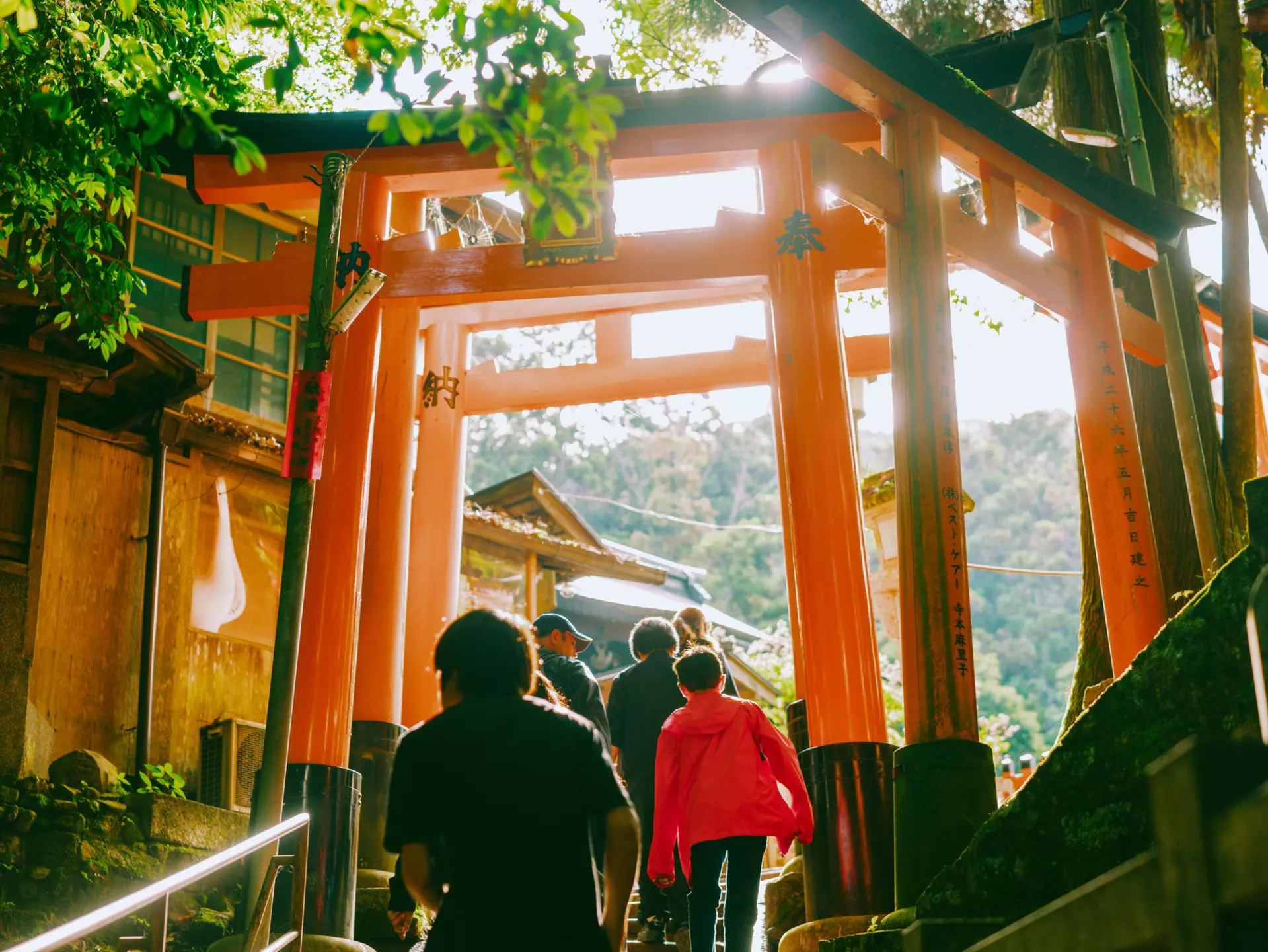 Fushimi Inari is a complex of shrines and walking trails in the east of Kyoto. Rintaro Kanemoto for Lonely Planet