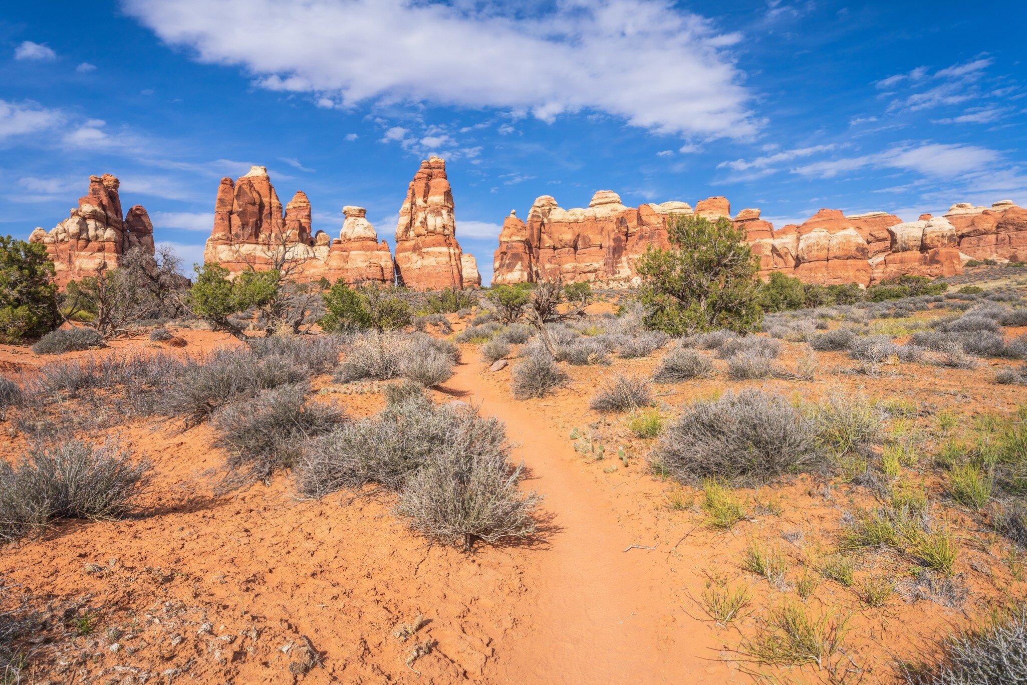 Chesler Park at The Needles District of Canyonlands.
