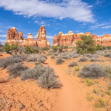 Chesler Park at The Needles District of Canyonlands.