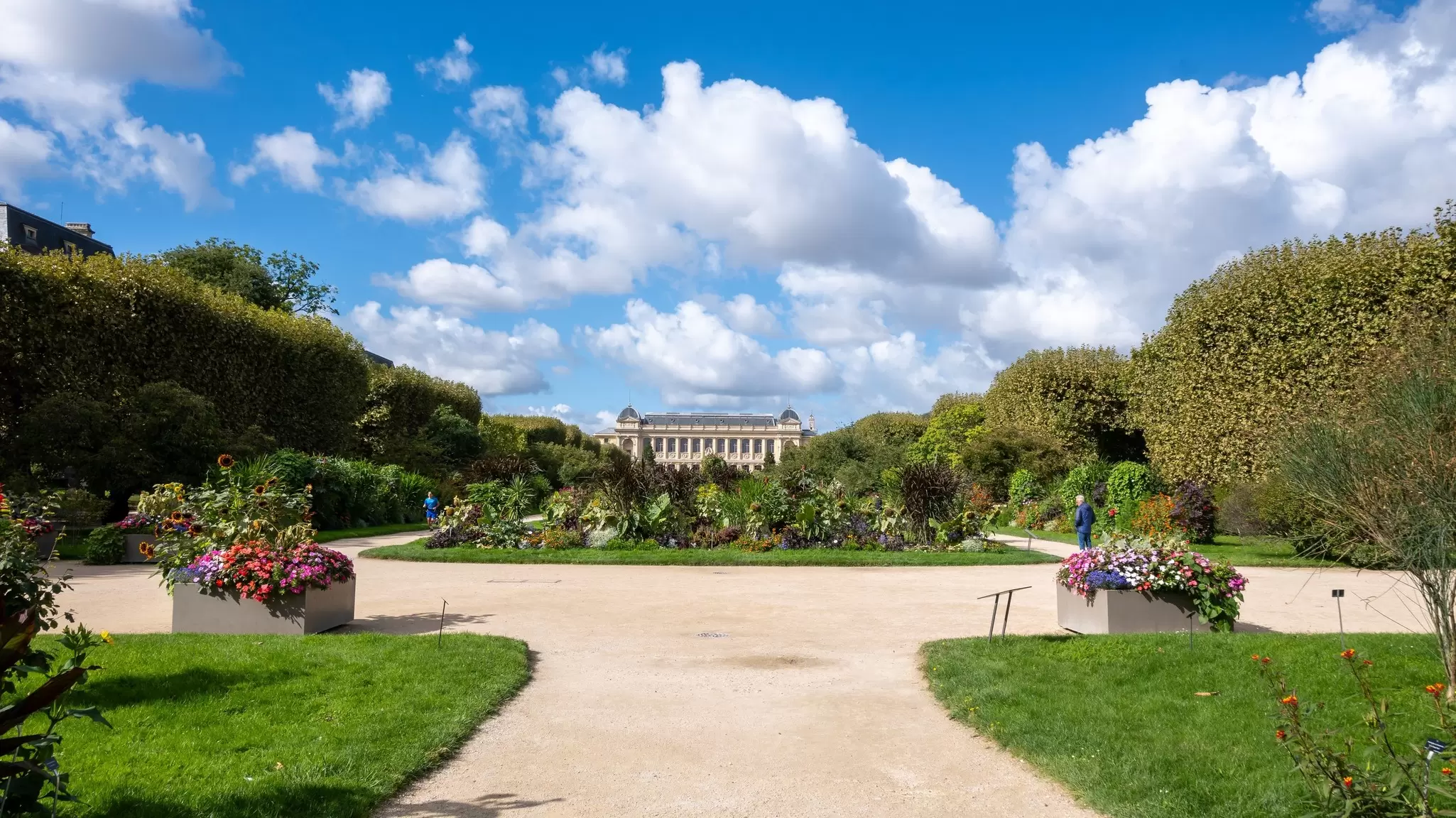 Landscape with flowers and Grande galerie de l'Evolution (Great evolution gallery) in the Jardin des Plantes.