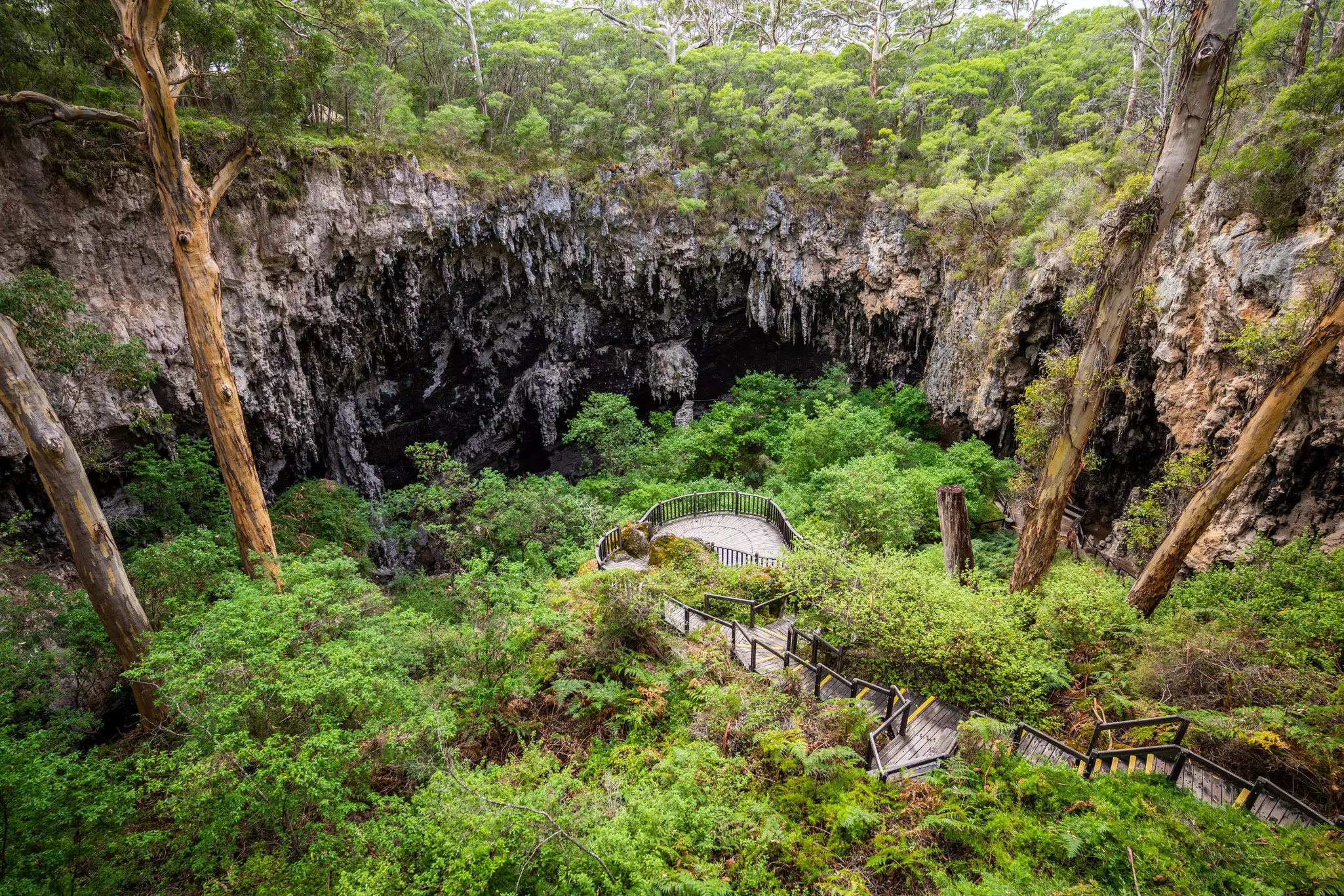 Lake Cave Margaret River in Western Australia