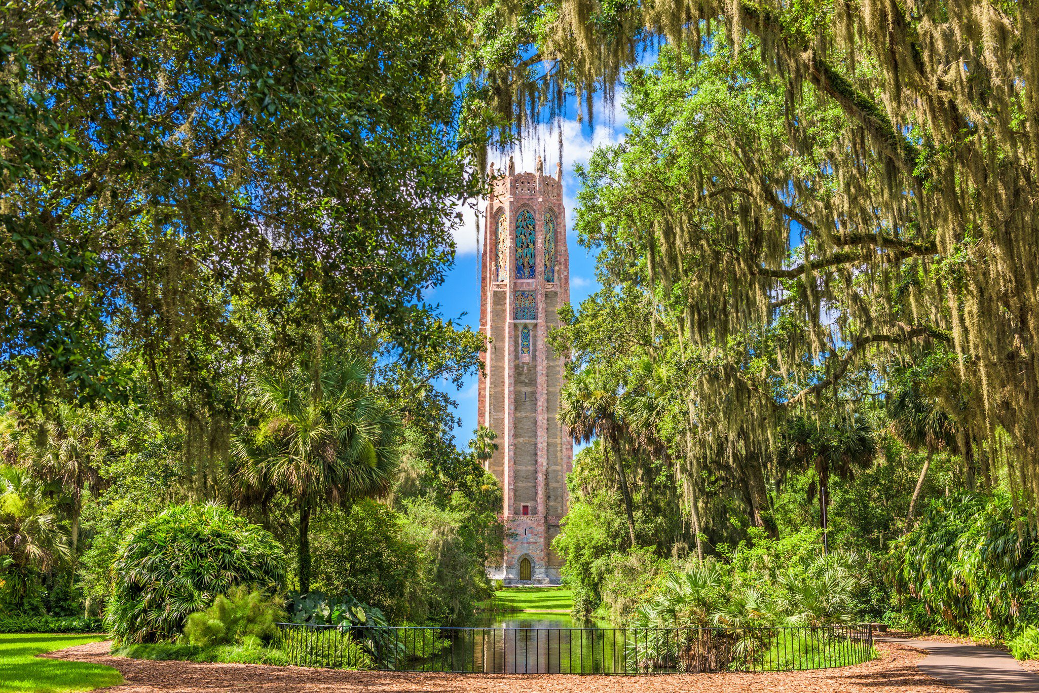 A tall ornate tower among trees draped in Spanish moss.