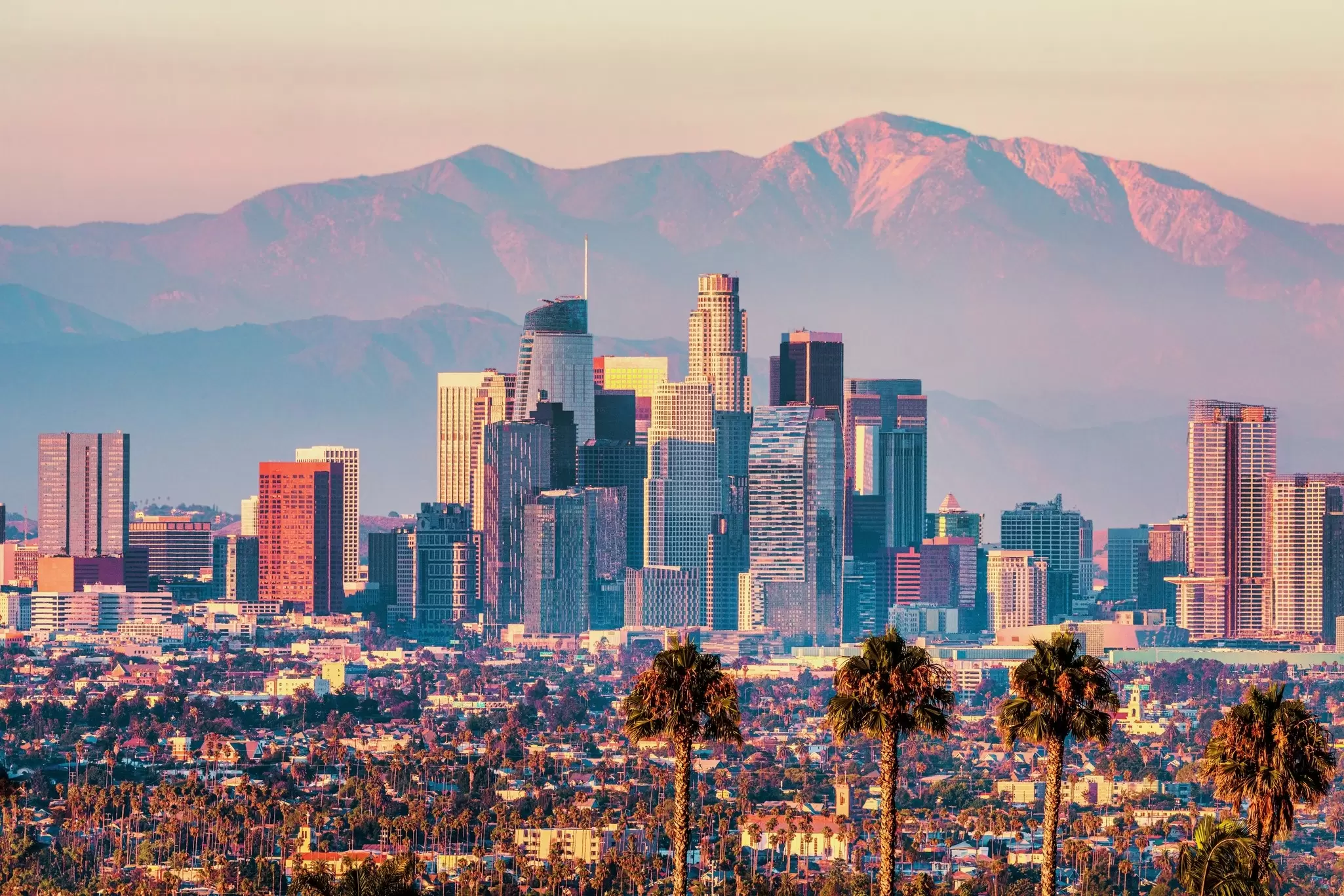 Los Angeles is poised to be one of the most exciting places to catch the action, both on and off the pitch. UVL/Shutterstock