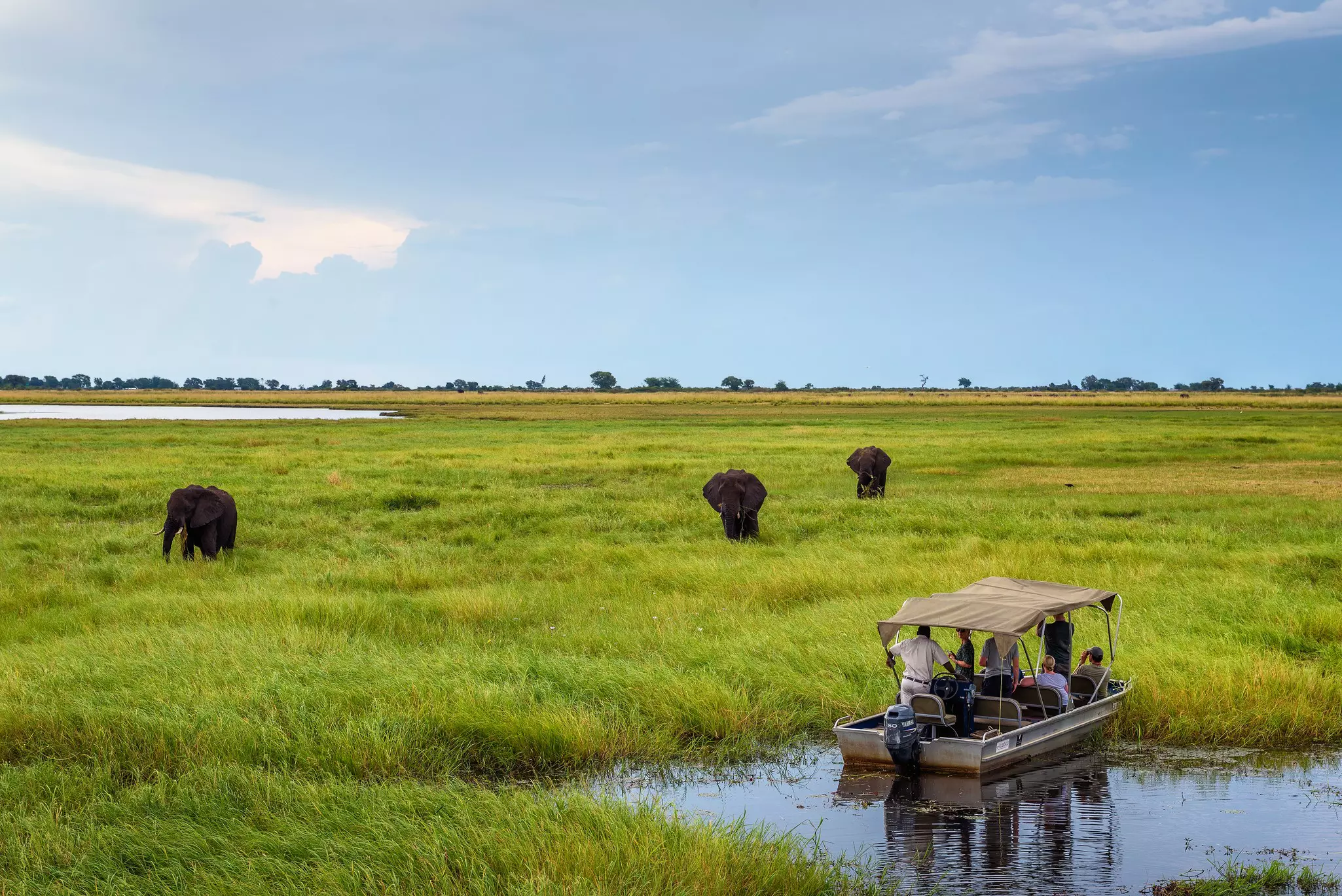 Tourists in a boat observe elephants along the riverside of Chobe River in Chobe National Park, Botswana.