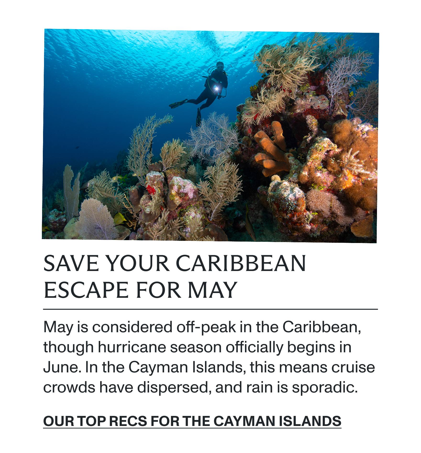 Our top recs for the Cayman Islands
