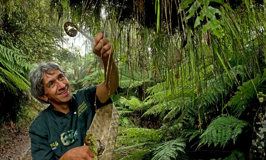 Chef foraging for ‘bush asparagus’ on a Maori food excursion