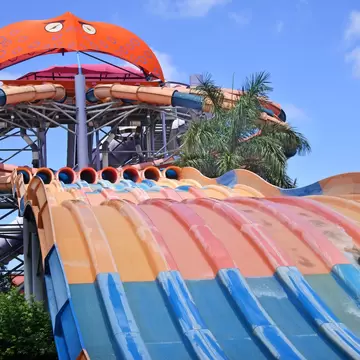 Rider sliding headfirst down a wavy orange, pink and blue multi-lane slide beneath an orange octopus-faced canopy