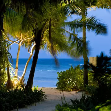 Path leading to Laem Tong Beach.