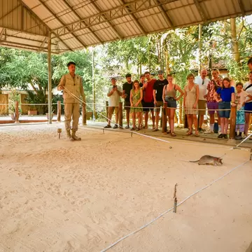 Handlers in khaki hold ropes guiding a rat across a roped-off sandy area as visitors watch from under a roof