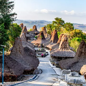 Homes with thatched roofs and tall towers are pictured along a village road on a tropical island.