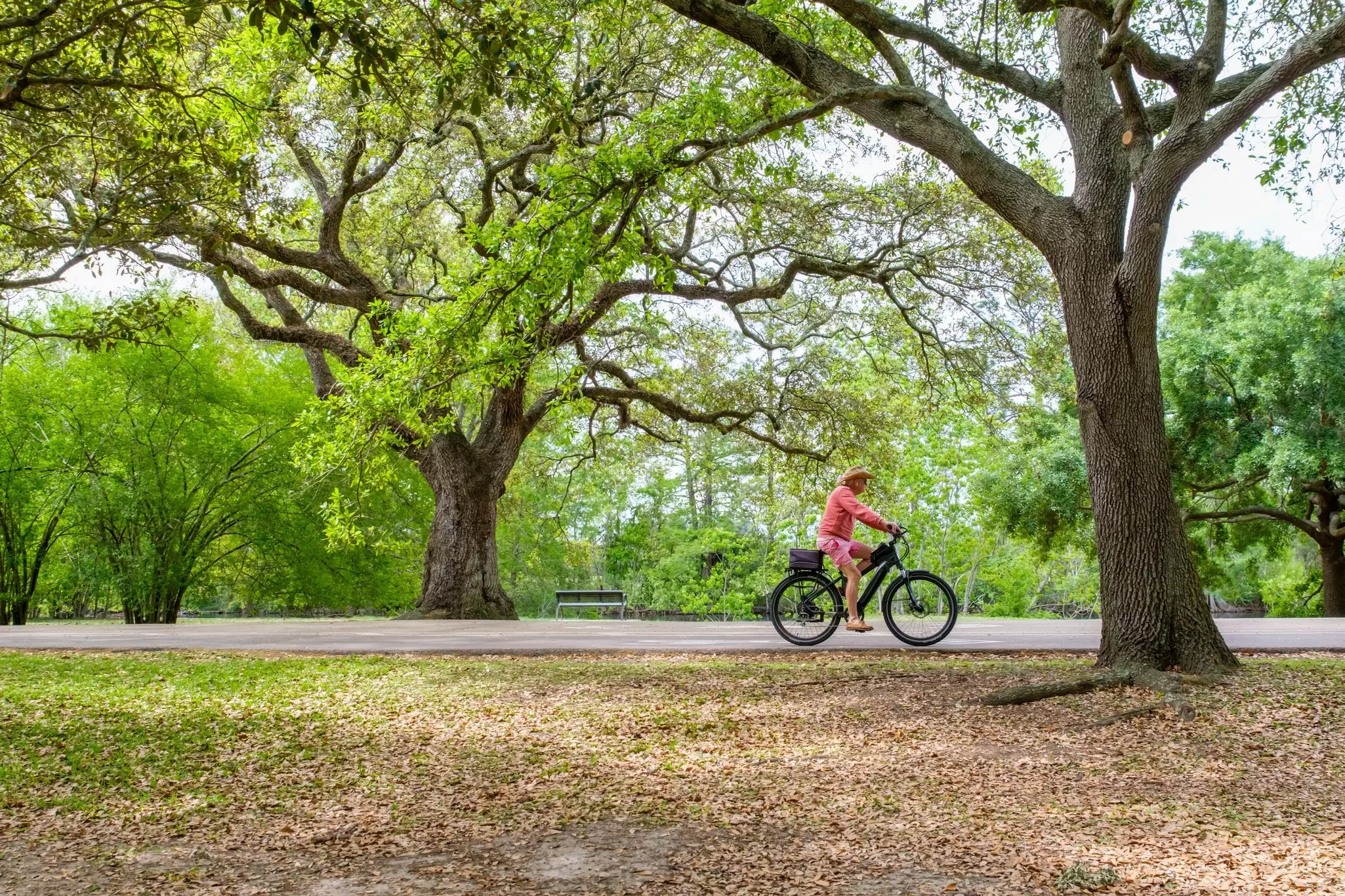 A cyclist along the bike path in Audubon Park, New Orleans.