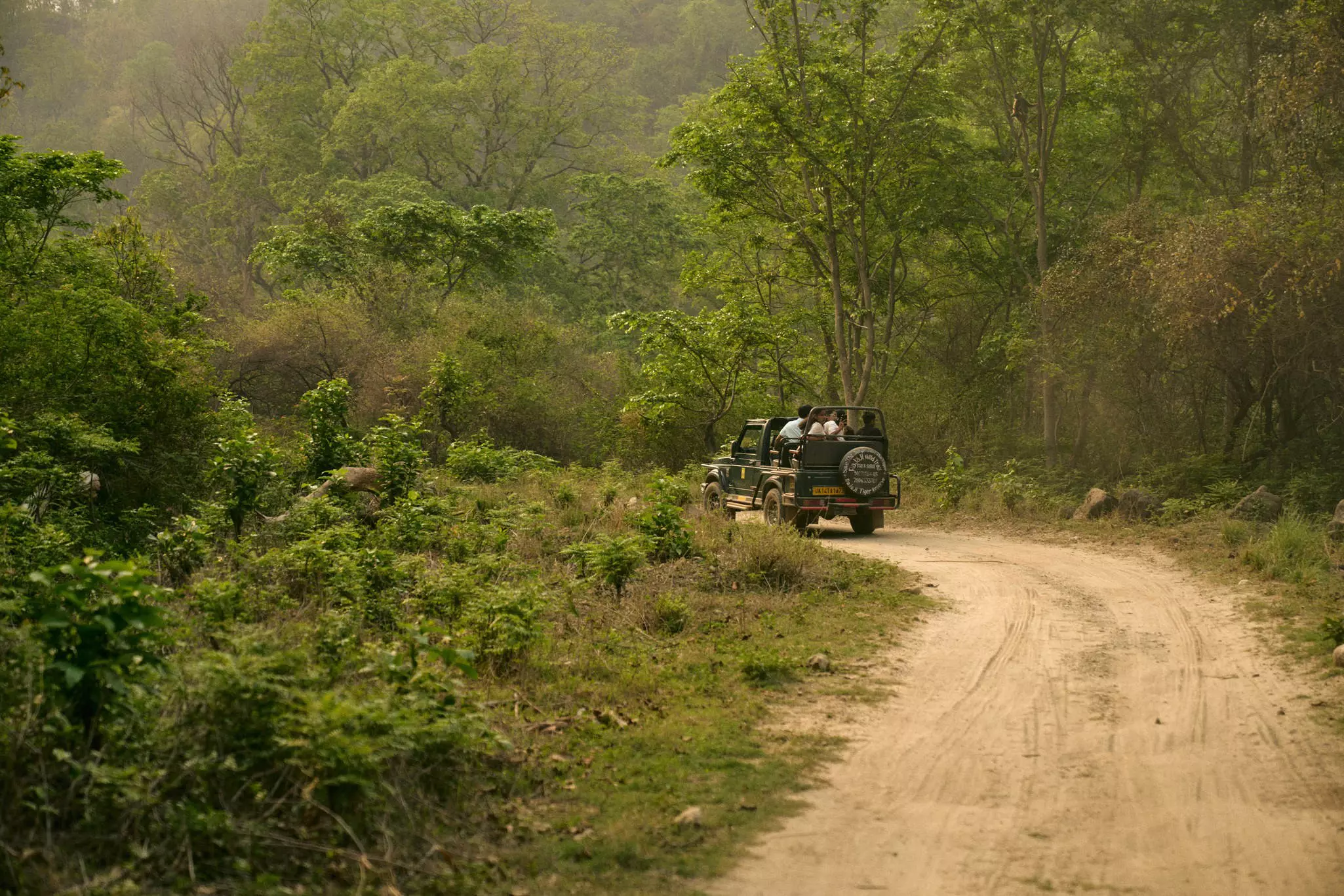 A safari truck on a dirt road in Rajaji National Park