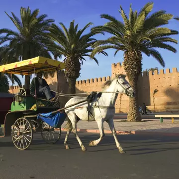 Horse and carriage with the ramparts that surround the medina of the town of Taroudannt in the background. Morocco