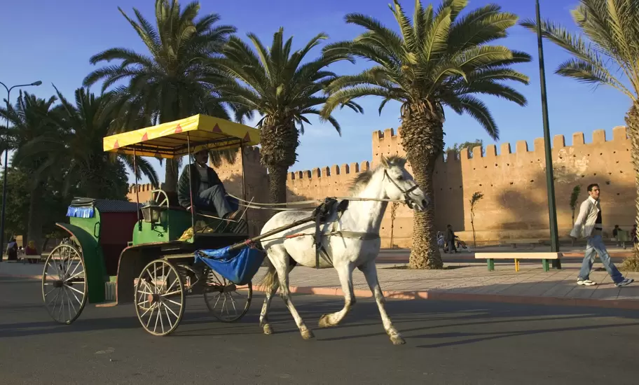 Horse and carriage with the ramparts that surround the medina of the town of Taroudannt in the background. Morocco