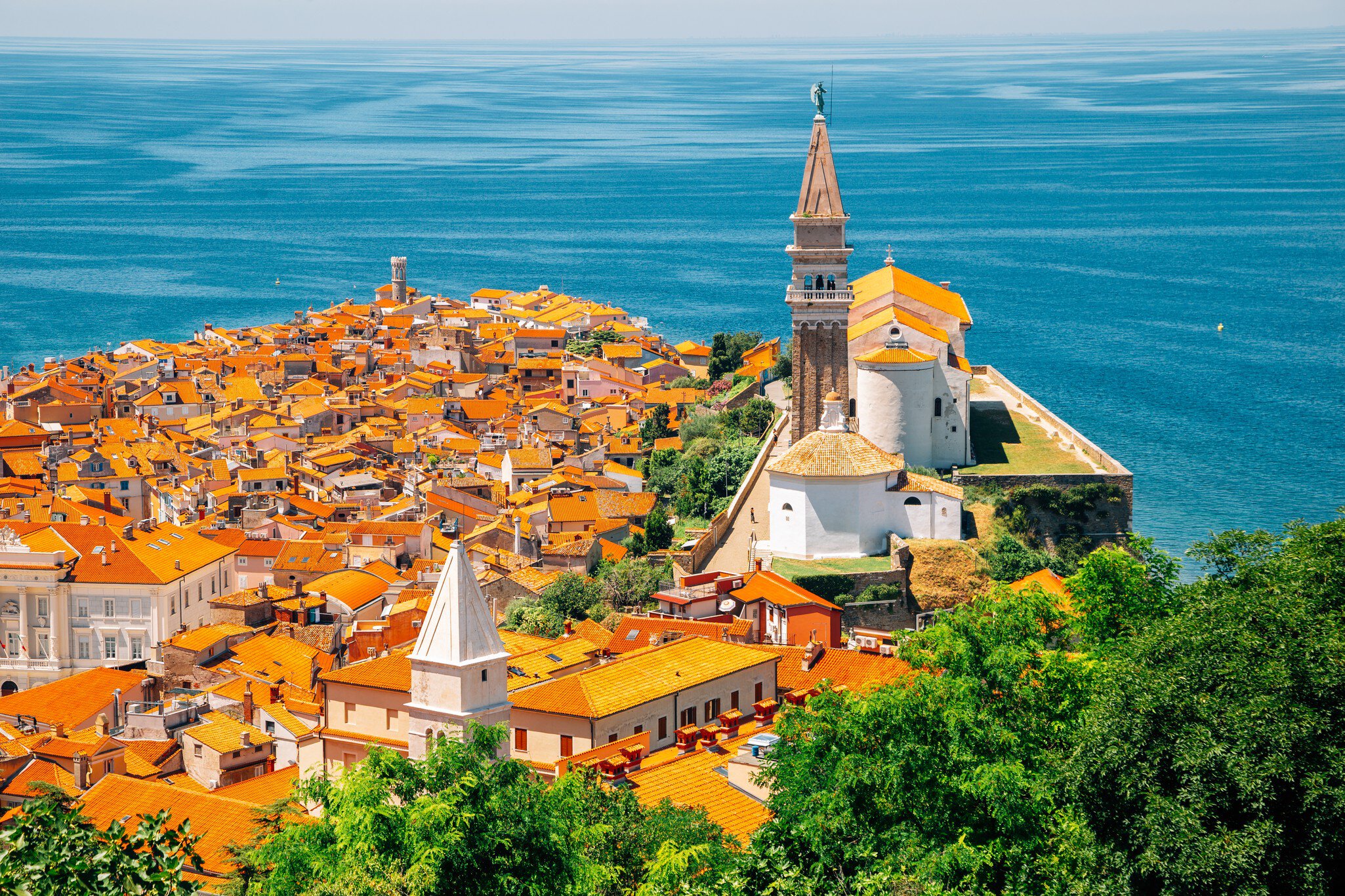 Panoramic view of Piran old town and Adriatic sea with St. George's Parish Church in Slovenia, License Type: media, Download Time: 2025-08-22T20:47:38.000Z, User: dorota_littlerobindesign, Editorial: false, purchase_order: 56530 - Guidebooks, job: Global Publishing WIP, client: Slovenia 12, other: Dorota Michalec