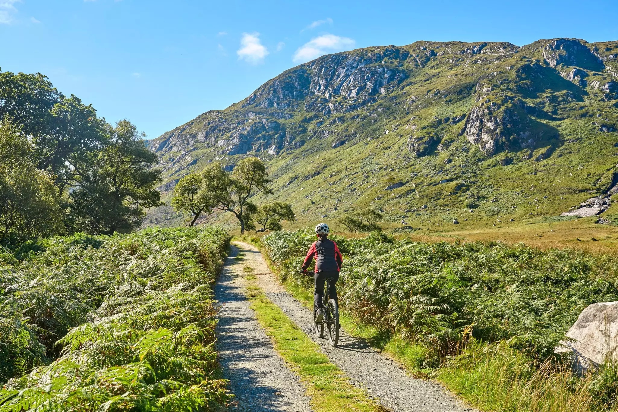 Get off the (paved) grid by tackling one of Ireland’s many off-road-cycling trails © Umomos / Shutterstock