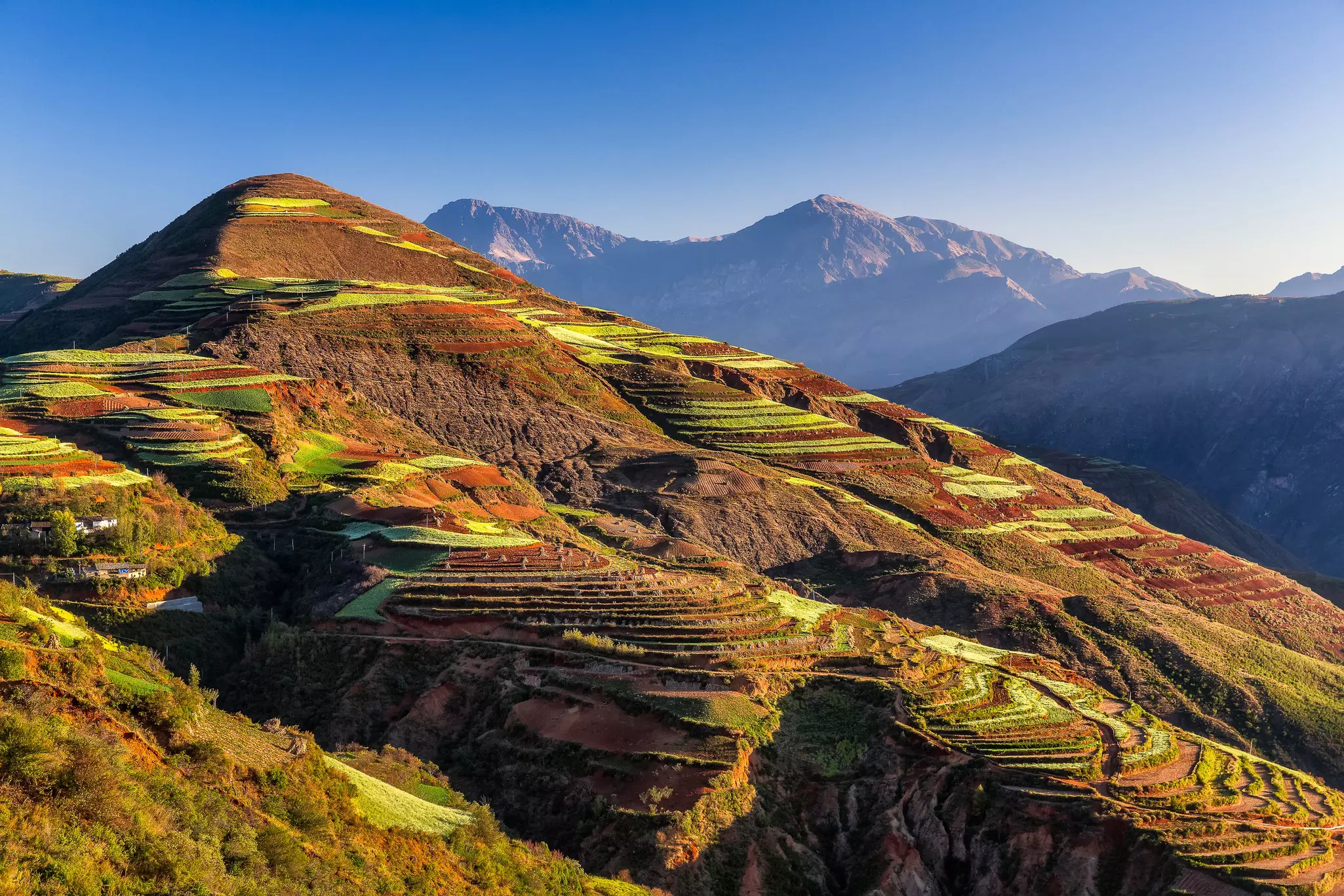 Flat rice terraces built into a hillside in a mountainous area of China.