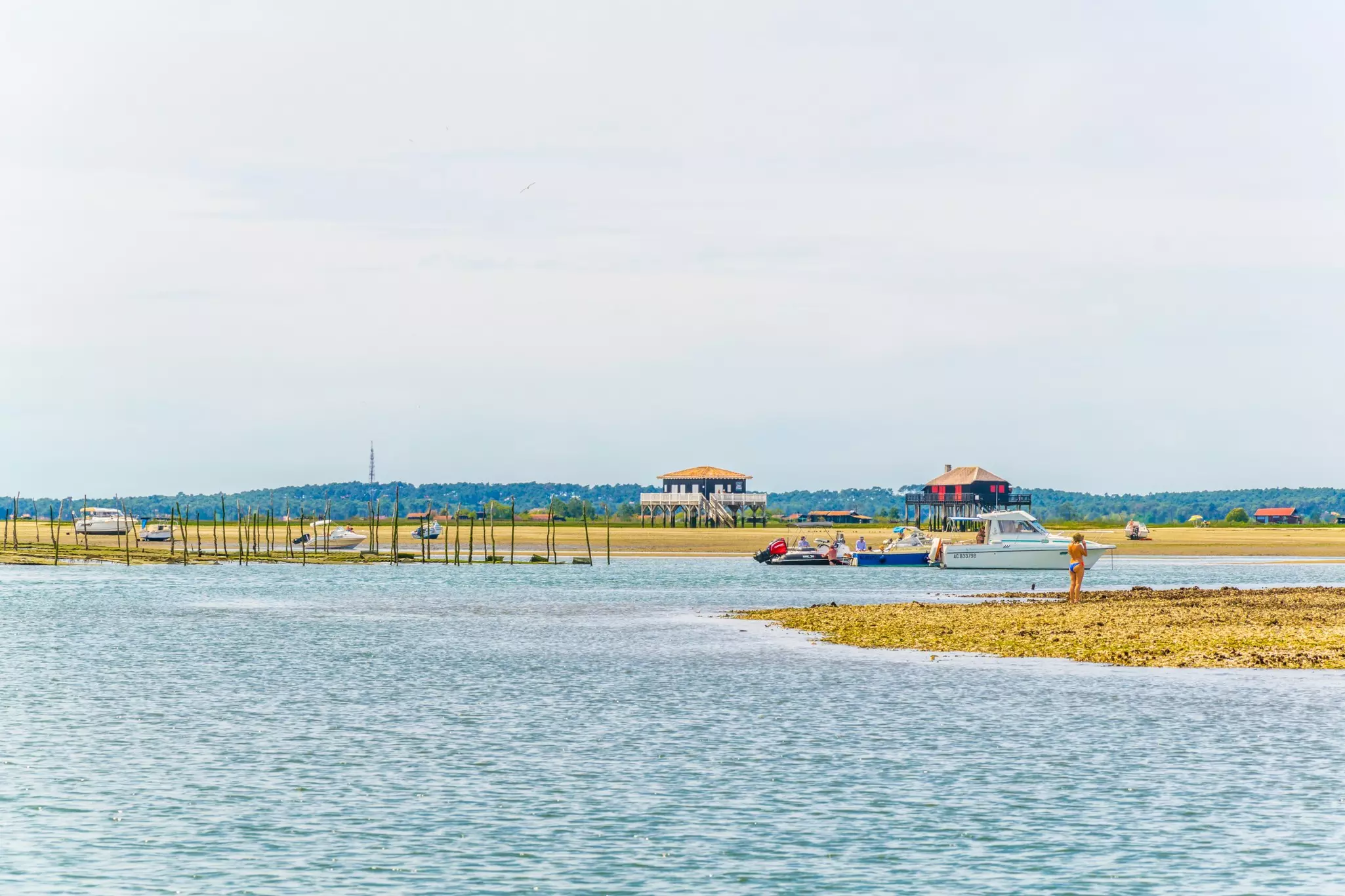 People and a boat in a marshy area around oyster beds, with structures on stilts in the background.