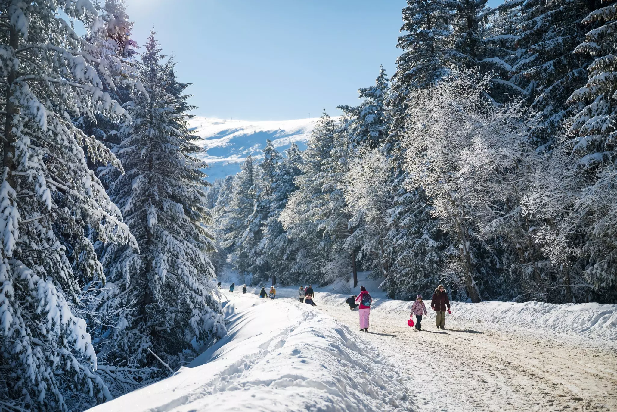 Winter road with people in the winter snowy mountain, Vitosha mountain, Bulgaria.