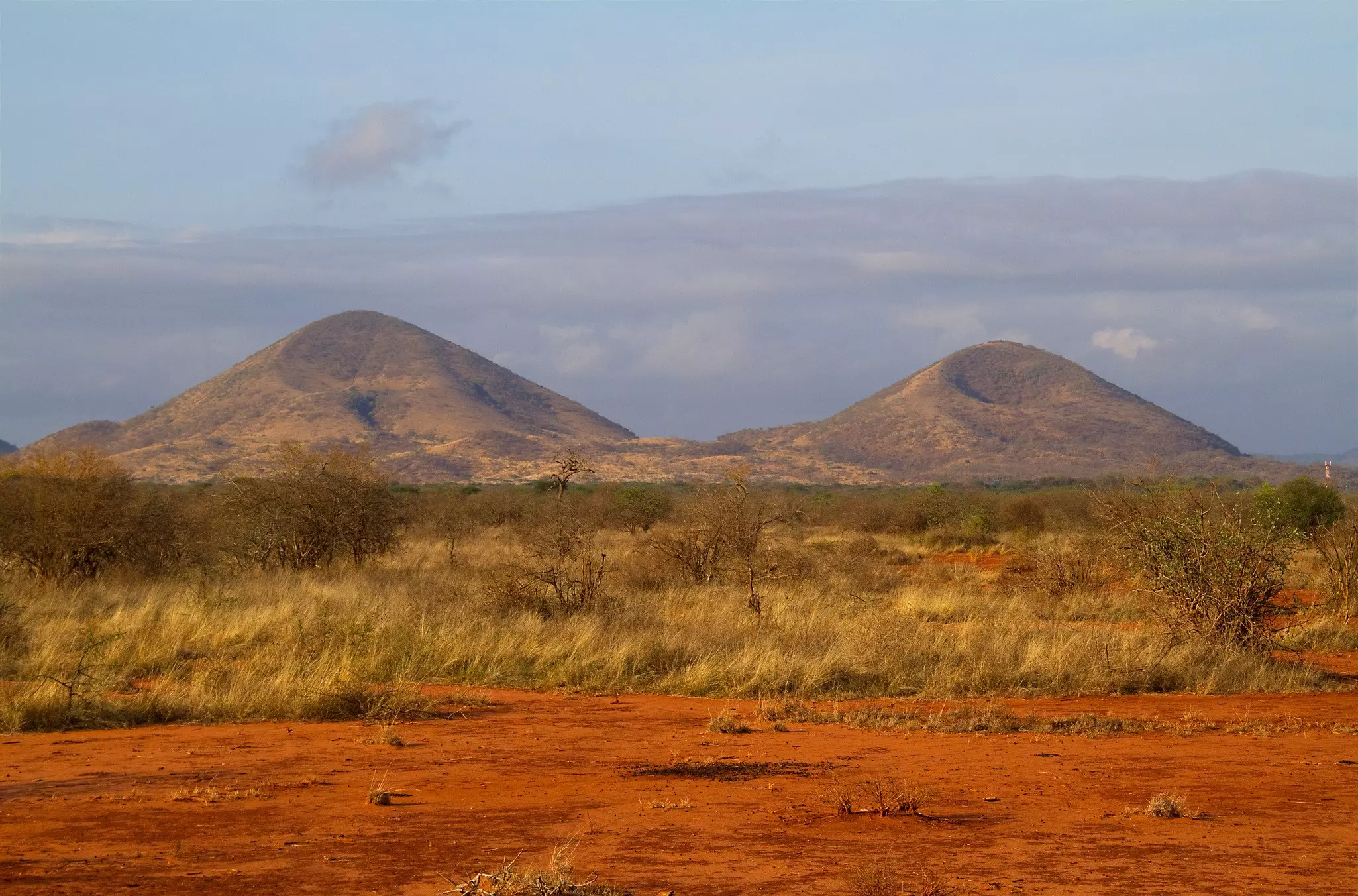 A landscape with two volcanic cones in Tsavo West National Park, Kenya.