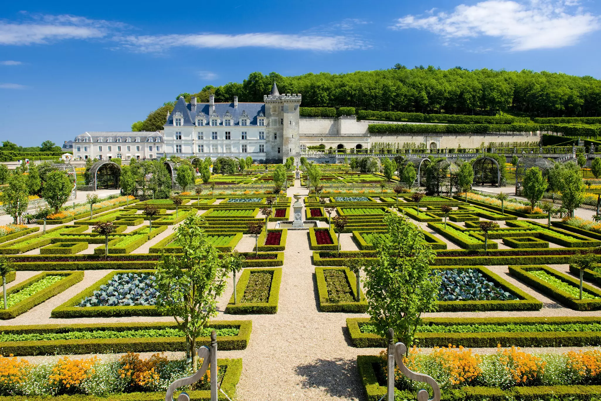 View of the gardens of the Château de Villandry on a sunny day in the Loire Valley, France.
