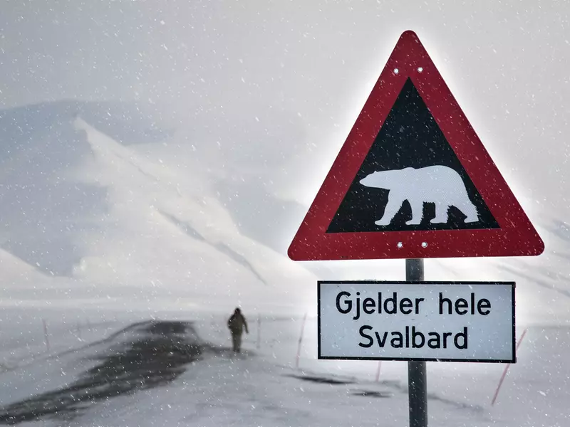 A sign in a remote frozen landscape warns visitors to beware of polar bears. A solitary figure is seen on the road in the distance.