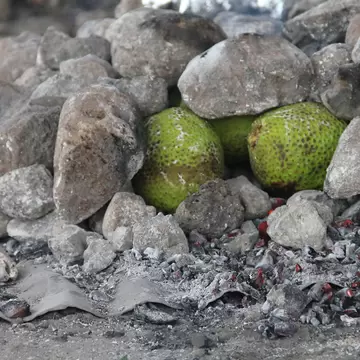 Round green breadfruit wedged between grey volcanic rocks above a bed of red-hot embers and ash