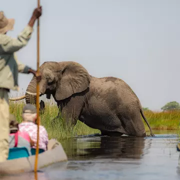 Tipping is big in Africa – here's what you need to know, whether you're going to a restaurant or spotting elephants with a guide. Ger Metselaar / Shutterstock