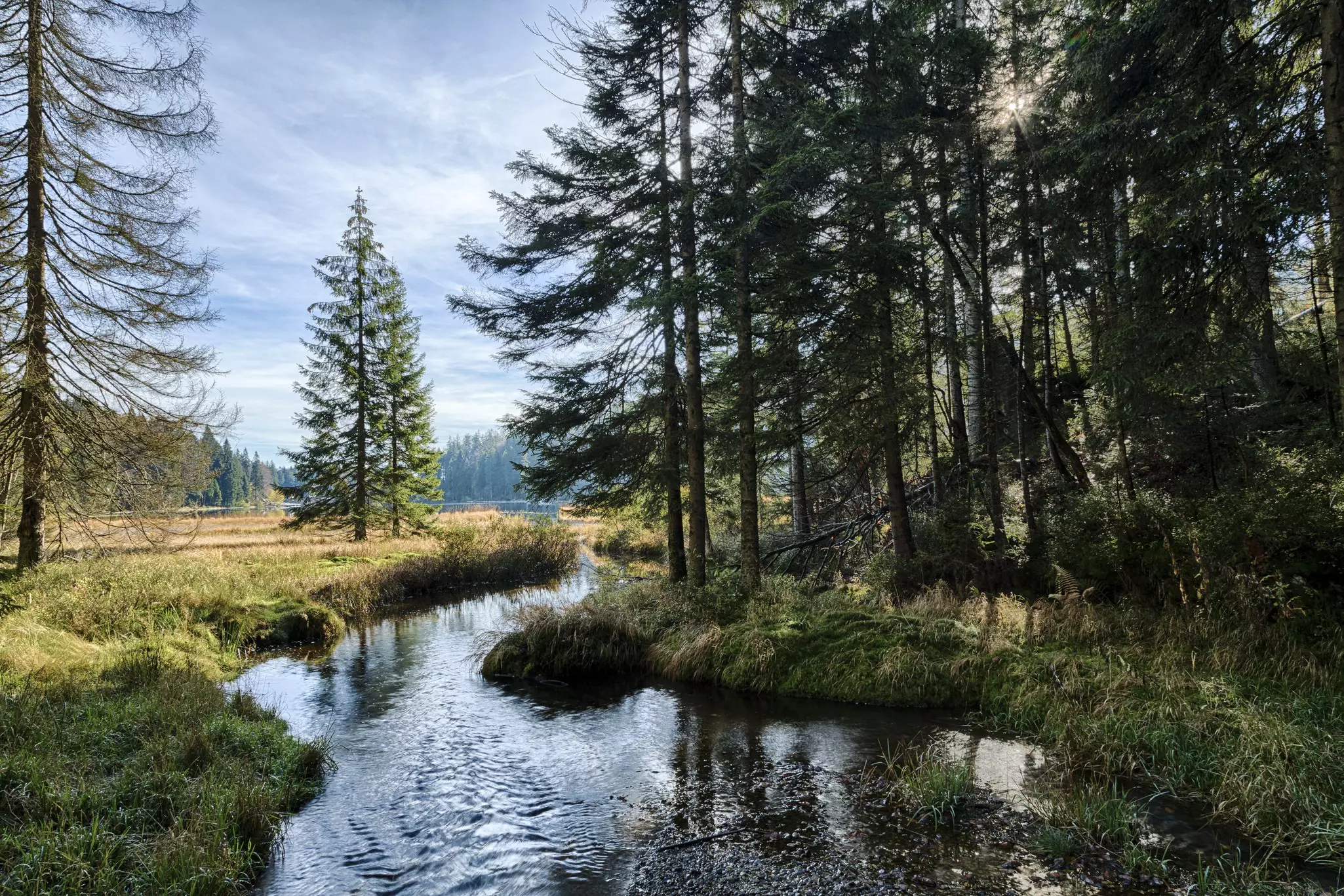 Lake Grosser Abersee in autumn in Bavarian Forest National Park, Germany