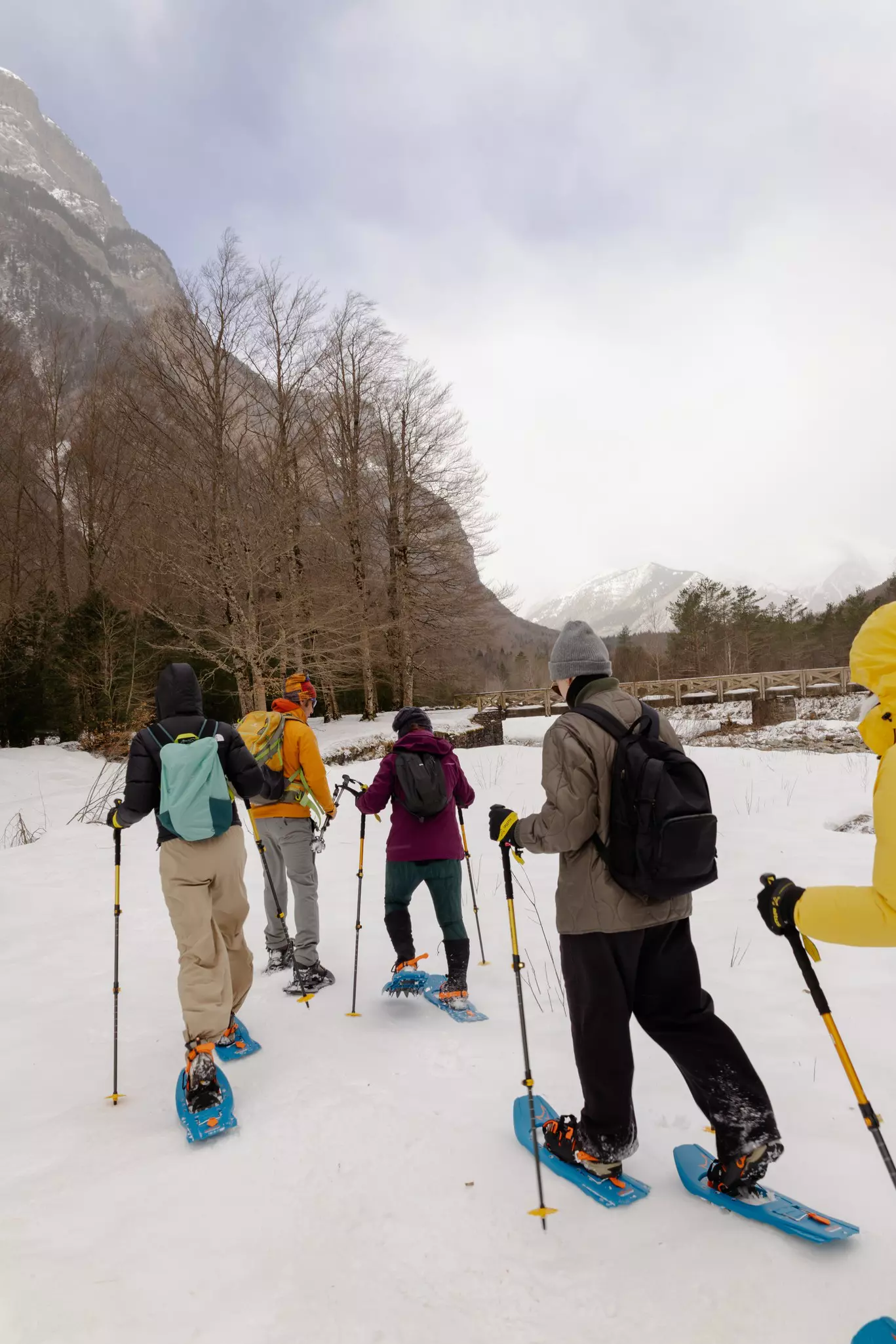 Four people in warm clothes on snowshoes; a snowy peak is in the distance.