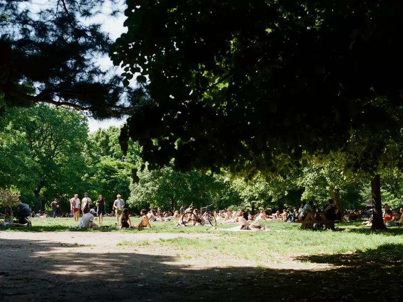 People lay out on blankets in the grass in McCarren Park in Williamsburg, Brooklyn