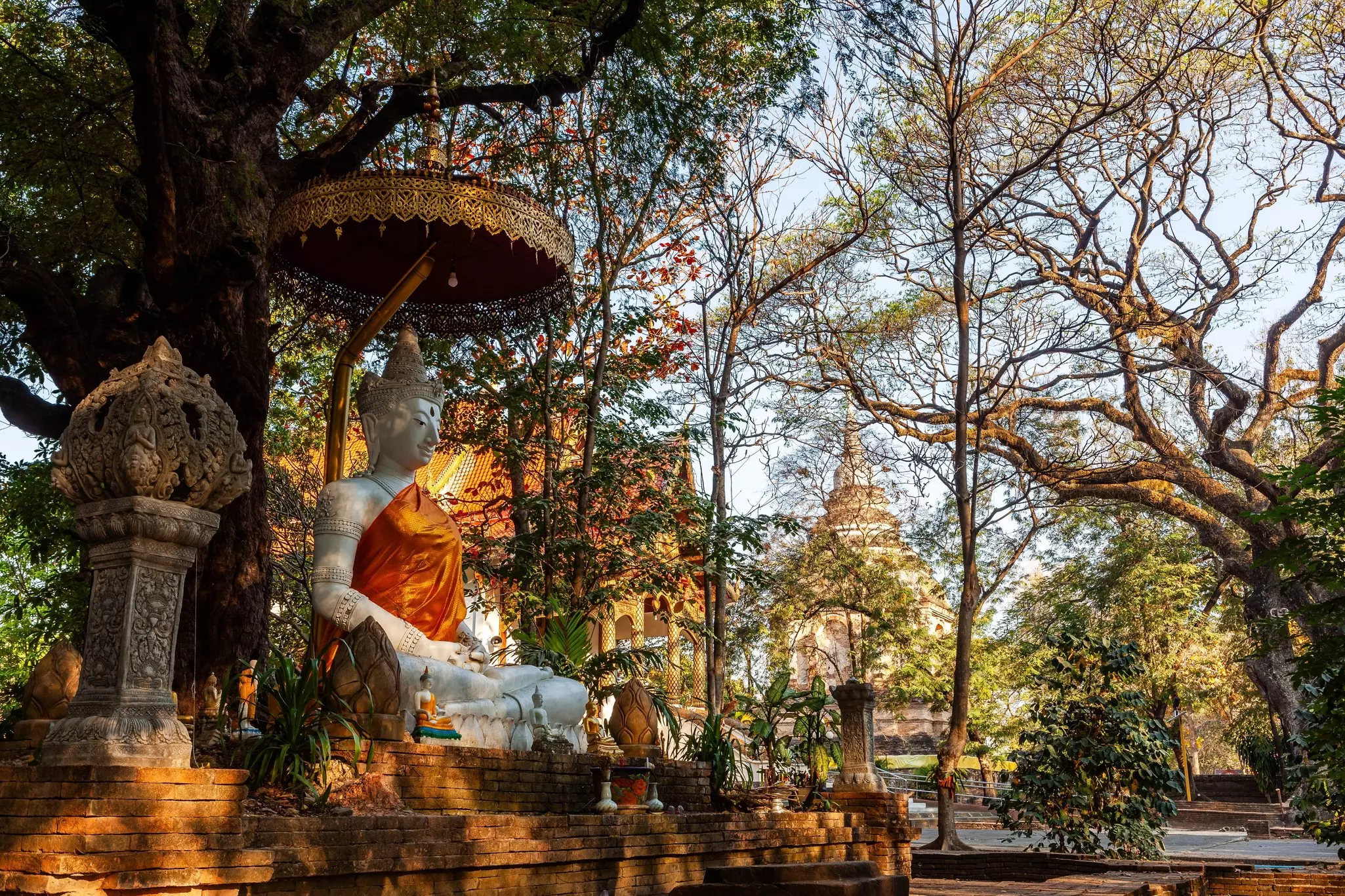 A statue of the Buddha in the courtyard of a temple is shaded by trees and other vegetation.