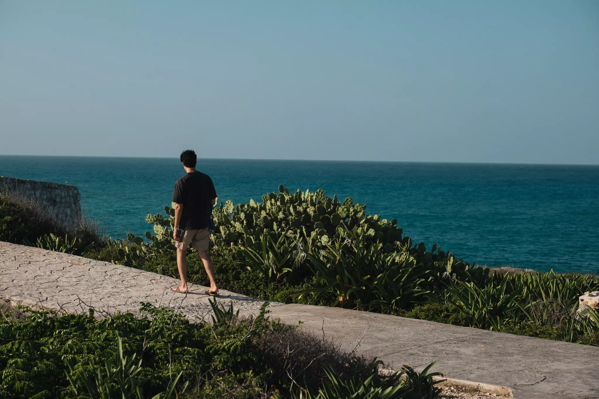 A man walks on a path with fews of the ocean and lots plants