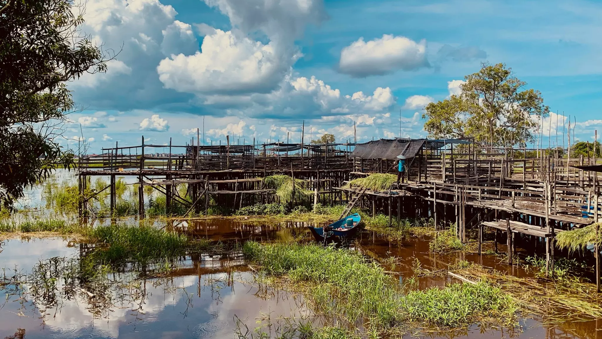 A settlement with wooden boards rests on stilts in a river. Vegetation grows in the shallow water.