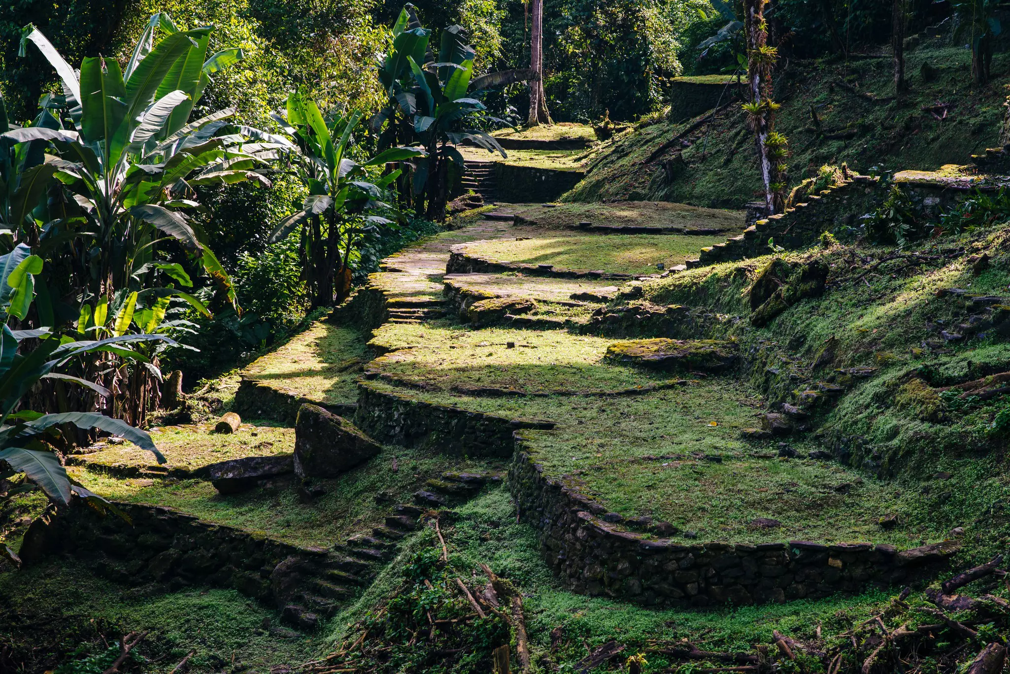 The terraces of the Lost City (Ciudad Perdida) are only accessible via a grueling multiday trek. Joerg Steber/Shutterstock