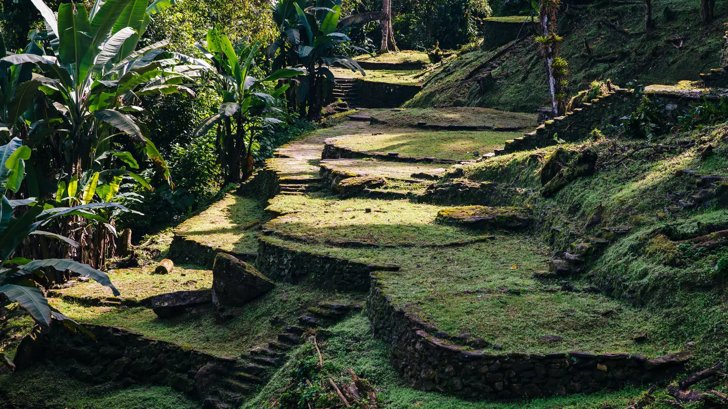 Terraces of the Lost City (Ciudad Perdida) in the Sierra Nevada de Sante Marta -