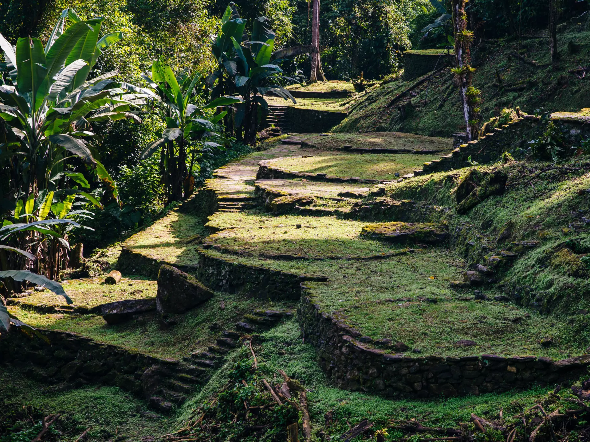 Terraces of the Lost City (Ciudad Perdida) in the Sierra Nevada de Sante Marta -