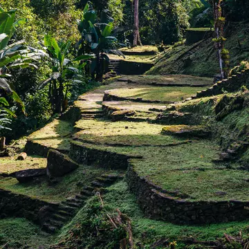 Terraces of the Lost City (Ciudad Perdida) in the Sierra Nevada de Sante Marta -