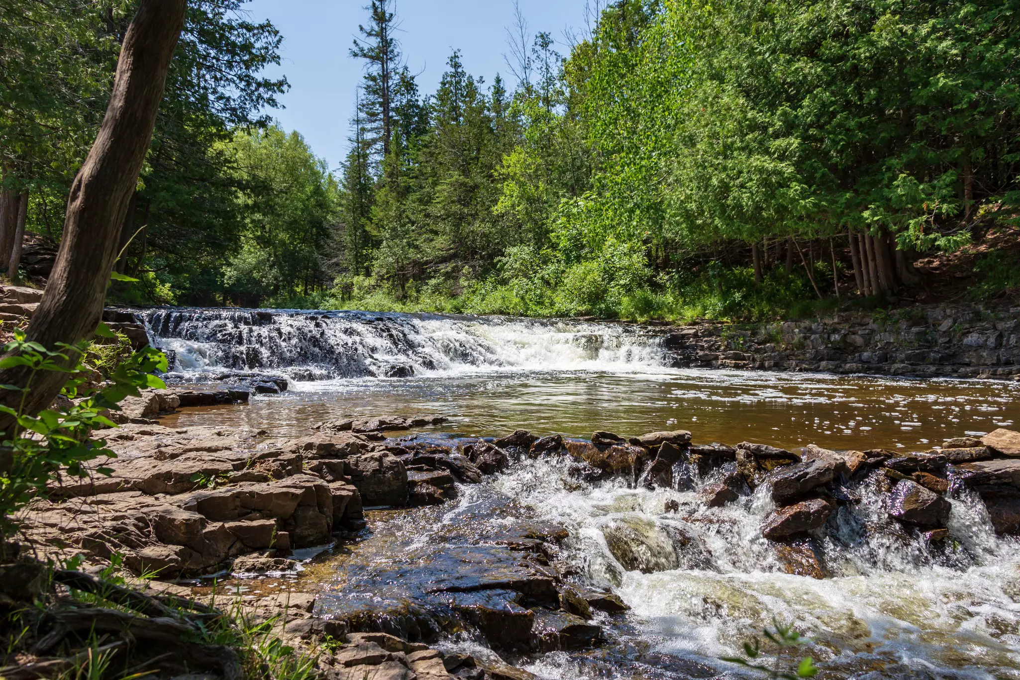 A low-level waterfall surrounded by woodland plunges into a small pool.