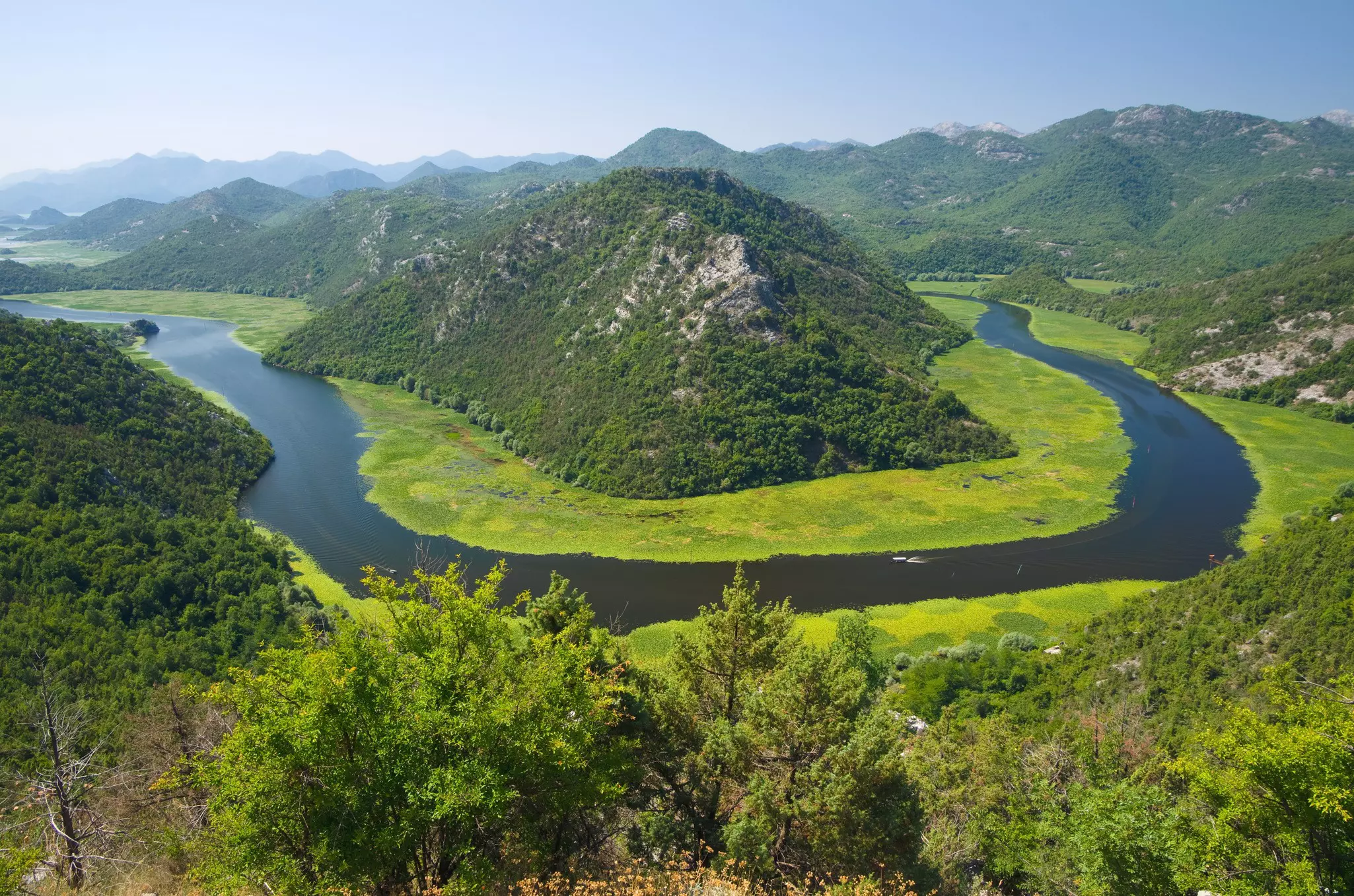 Crnojevica River flowing into Lake Skadar National Park, Montenegro