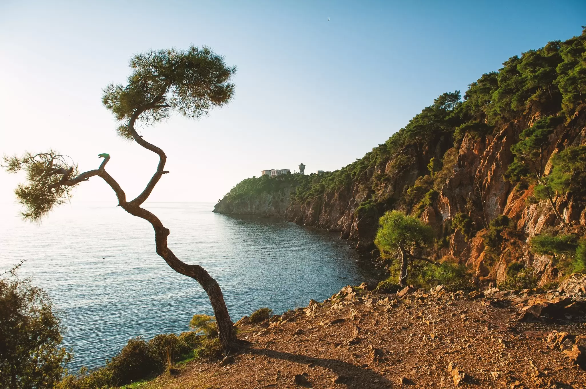 A view from Büyükada, Princes’ Islands, Istanbul. DarkBird/Shutterstock