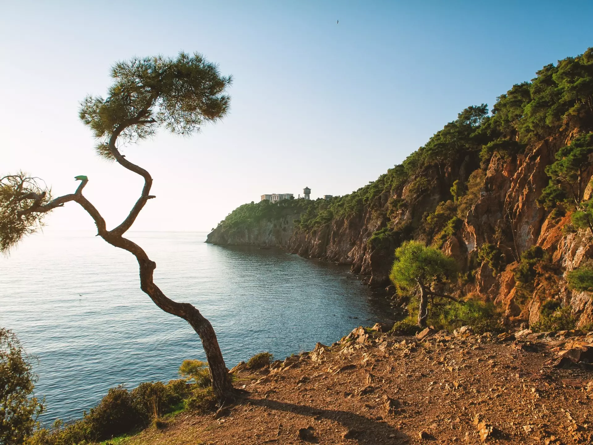 A view from Büyükada, Princes’ Islands, Istanbul. DarkBird/Shutterstock