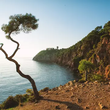 A view from Büyükada, Princes’ Islands, Istanbul. DarkBird/Shutterstock