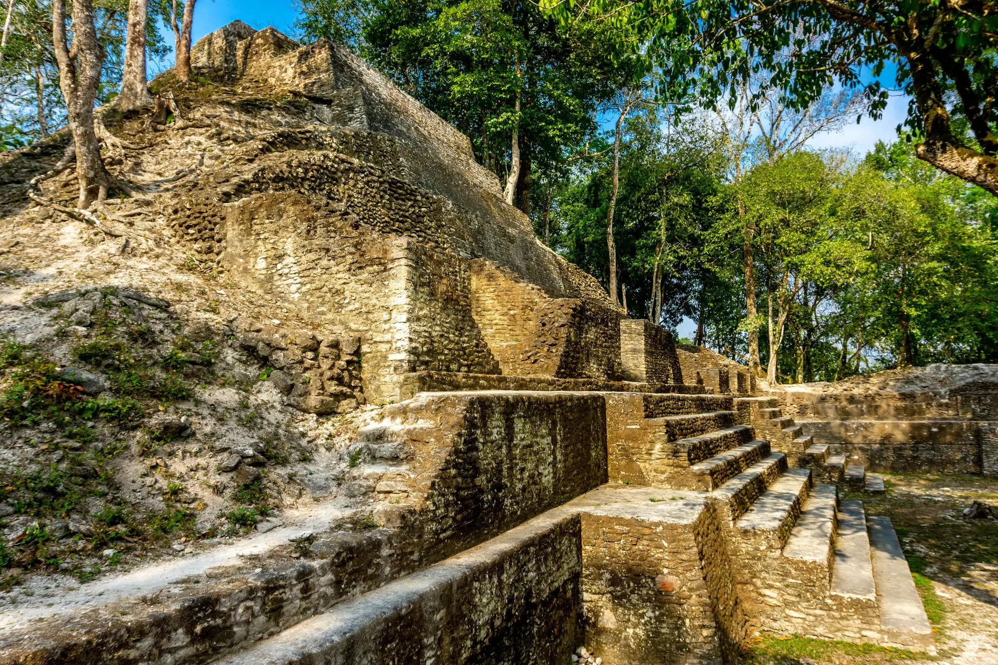 Cahal Pech Archaeological Reserve in San Ignacio with bright green trees nearby
