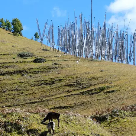 A hike in Phobjikha Valley. Acacia Gabriel/Lonely Planet
